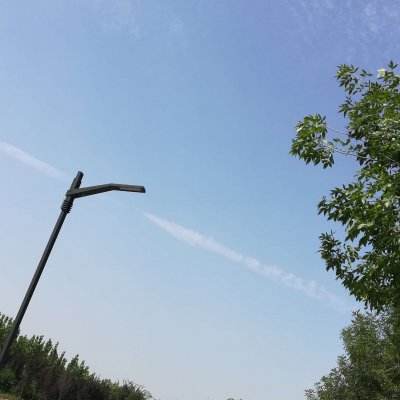 花海的辉舟雅玟妮迪最新版